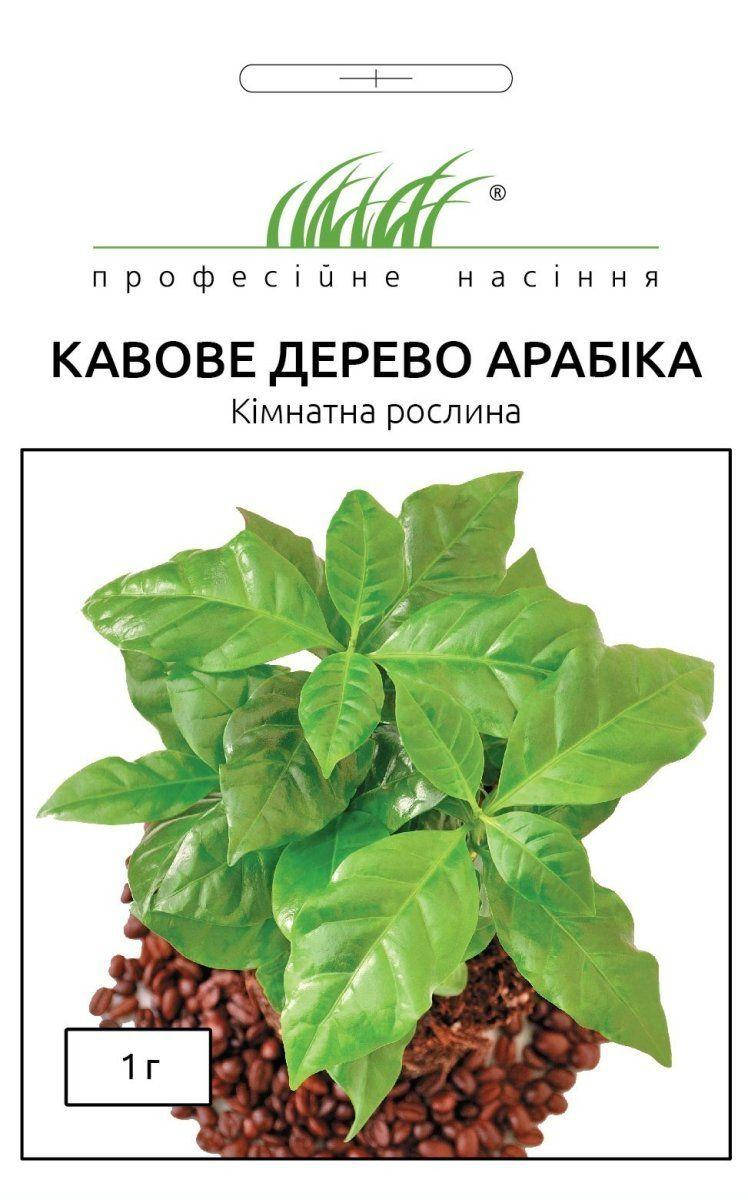 

Семена цветов сорт Кофейное дерево Арабика 1 г