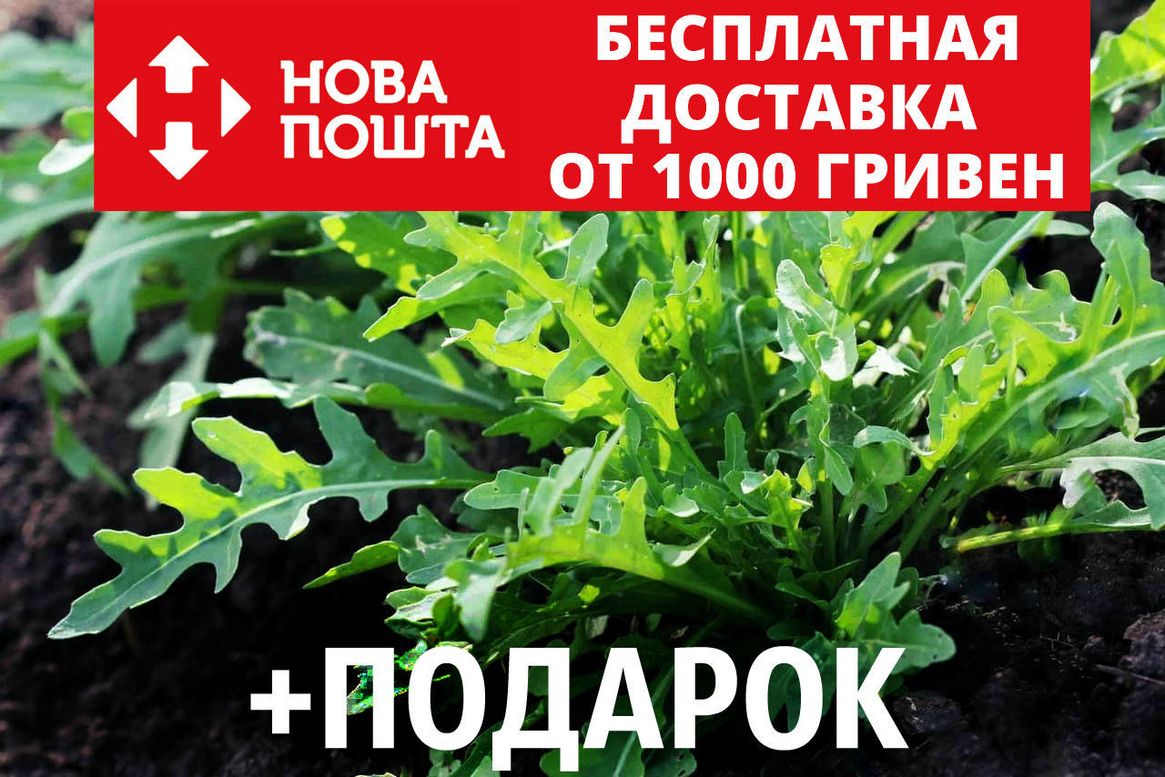 

Рукола семена 1 грамм (около 700 шт) Erúca satíva