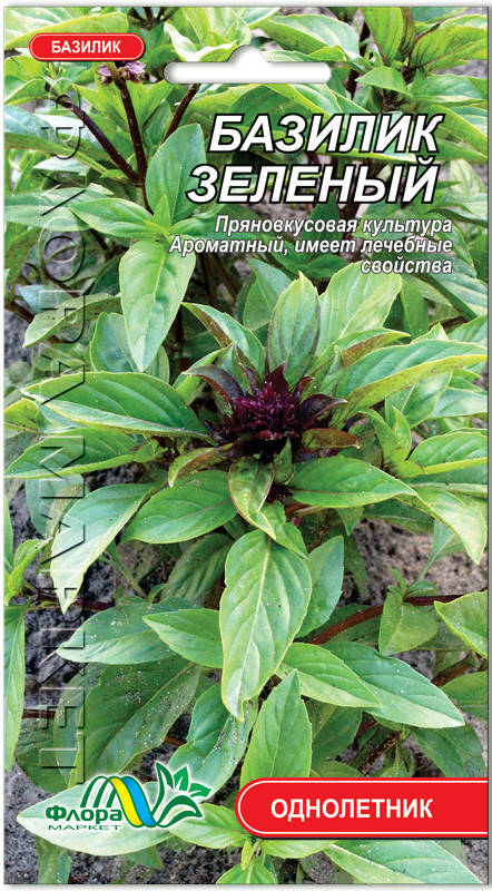 

Семена базилик зеленый 0,5г. Флора маркет