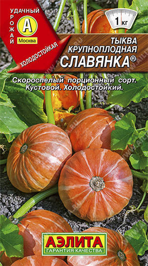 

Семена Тыква крупноплодная Славянка 1 грамм Аэлита