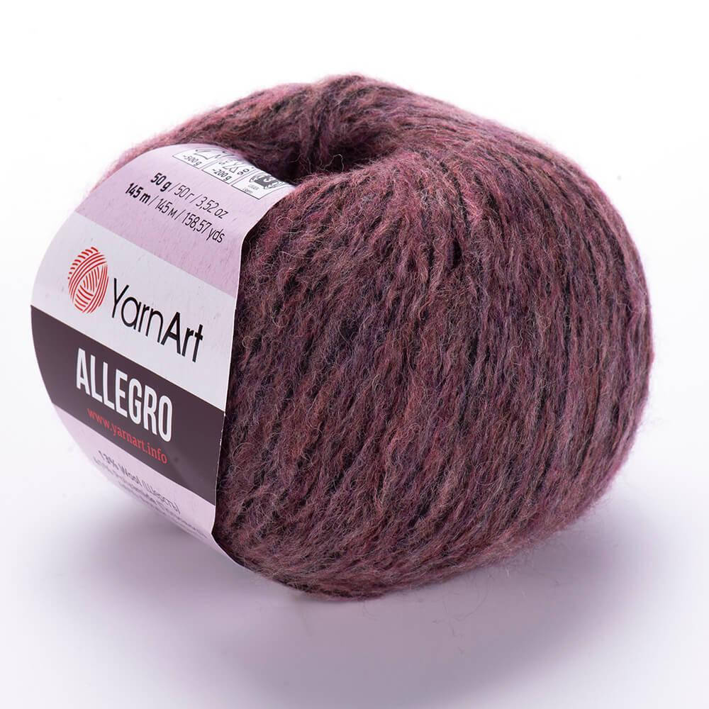 

YarnArt Allegro (ЯрнАрт Аллегро) №710 коричневый (Пряжа полушерсть, нитки для вязания)
