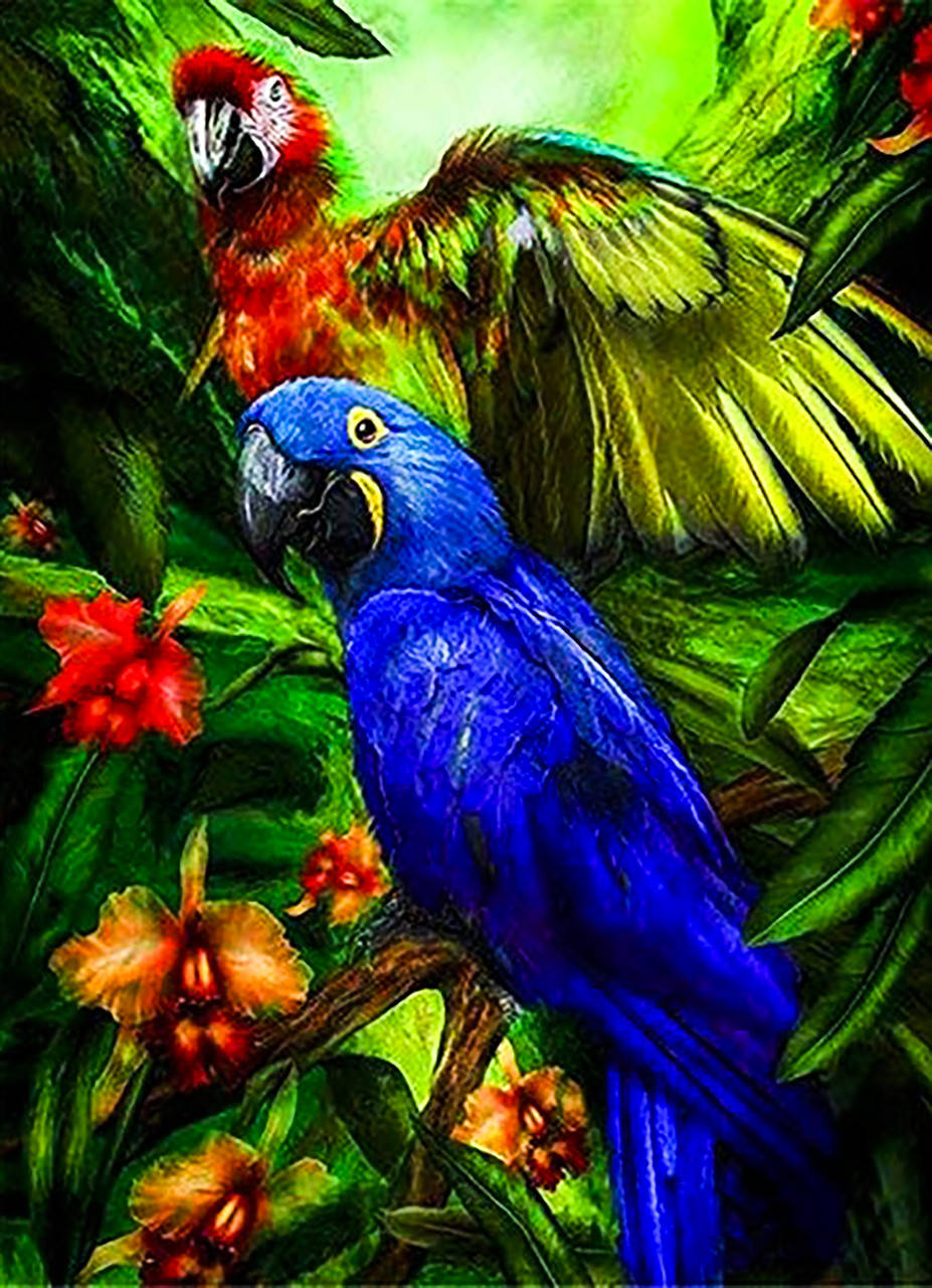 

Набор алмазной вышивки "Два попугая". Размер 34*44 см.