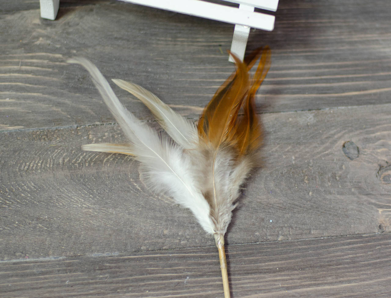 

Перья на палке коричневые