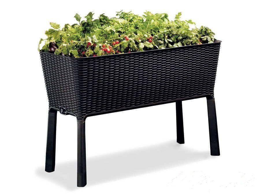

Грядка для растений на ножках Keter (Кетер) Easy Grow (17194592) Антрацит