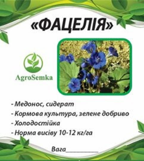 

Семена Фацелия медоносная посевная однолетняя, 1кг урожай 2021г
