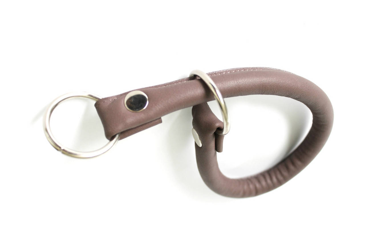 

Ринговка для собаки "Lockdog" цвет капучино