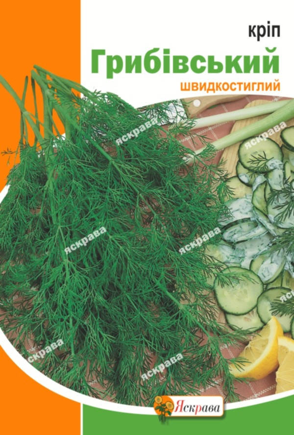 

Укроп Грибовский 20 г, семена Яскрава