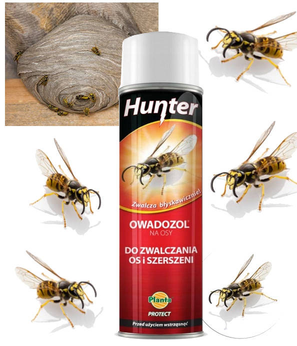 

Аэрозоль для ликвидации осиных гнезд Hunter, 300ml Польша