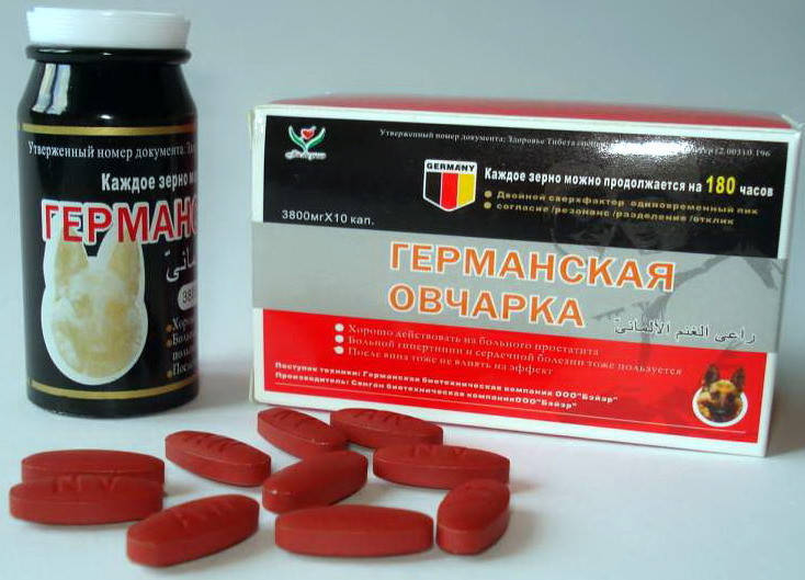 

Германская овчарка daymart