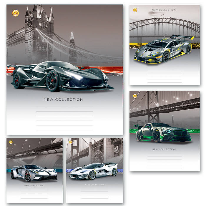 

Тетрадь 24 листа клетка "Тетрада" / Шоссе