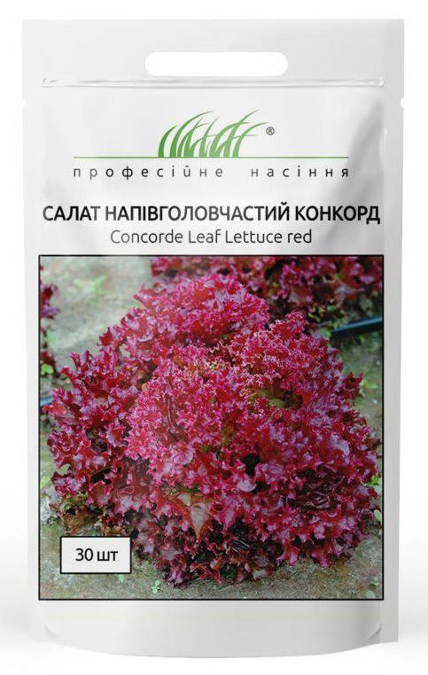 

Семена салата Конкорд тип Лолло Россо 30 шт, Rijk Zwaan