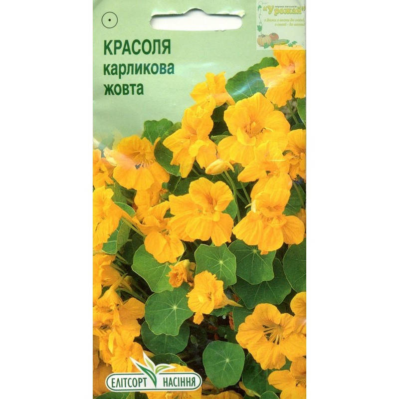 

Семена цветы Настурция карликовая желтая, 10 семян, Желтый