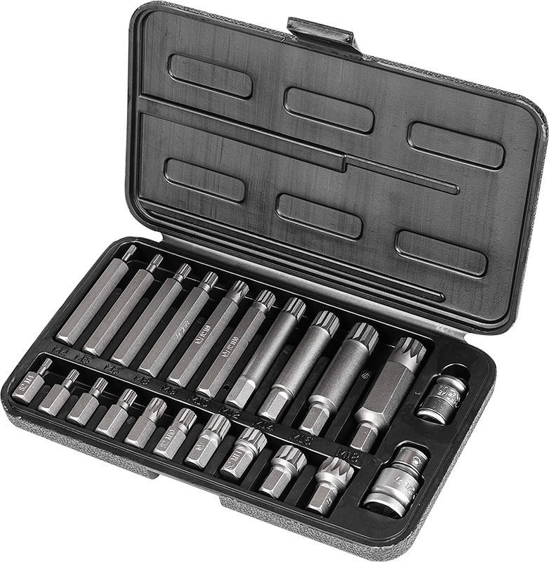 

Набор бит Spline Richmann 22 шт сталь S2 М4-М18 (C6938)