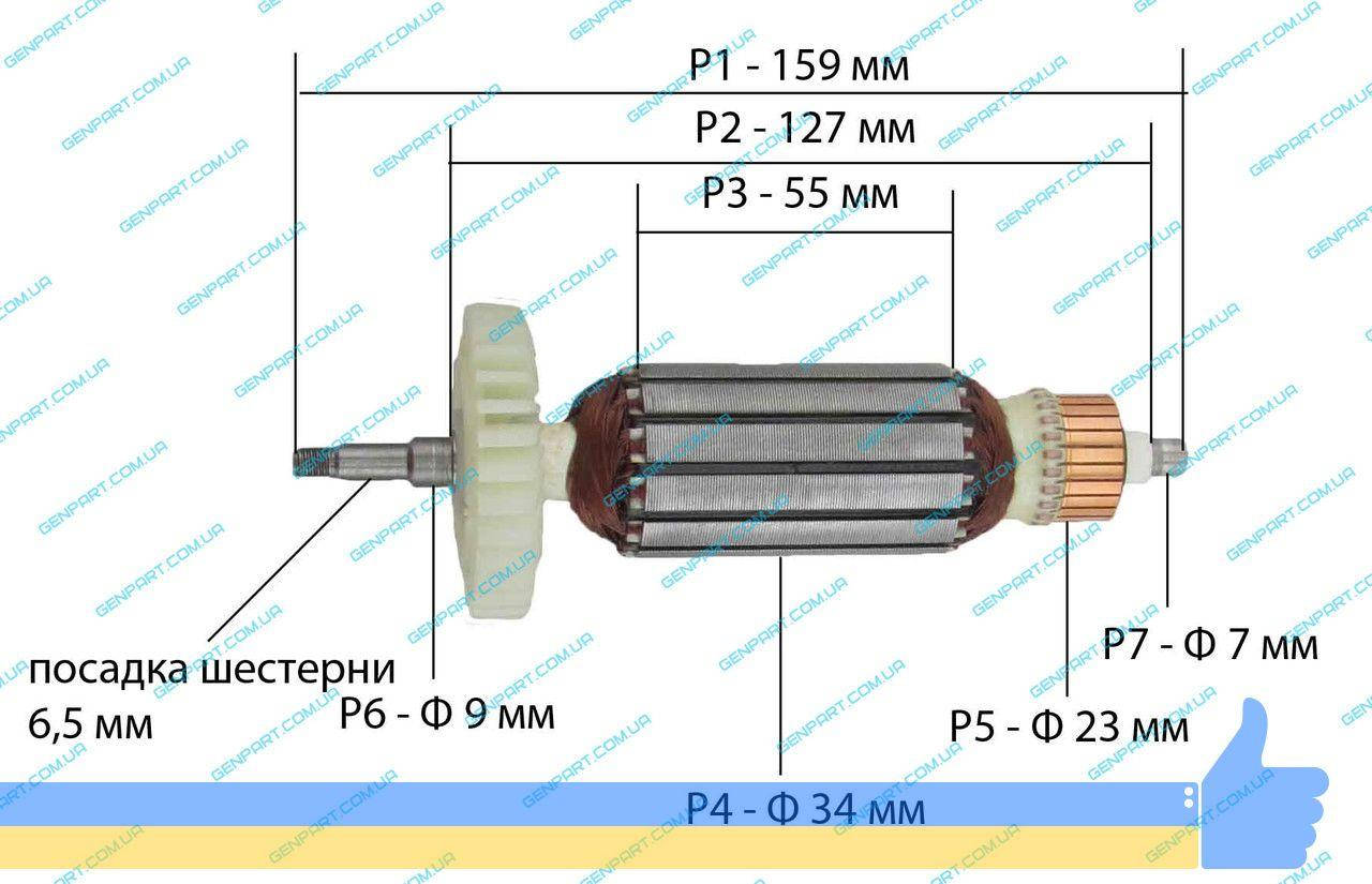 

Якорь на болгарку Riber-Profi WS 10-125 L
