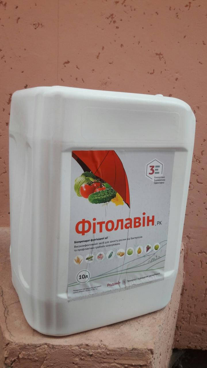 

Фитолавин