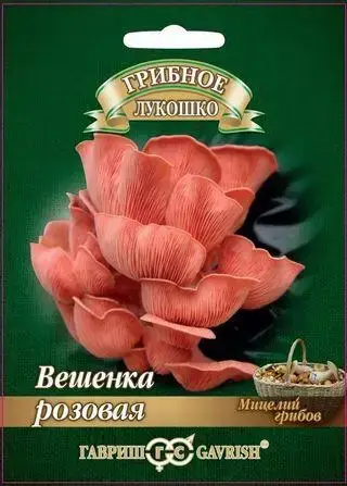 

Грибы мицелий Вешенка Розовая на древесных палочках 12шт., Розовый