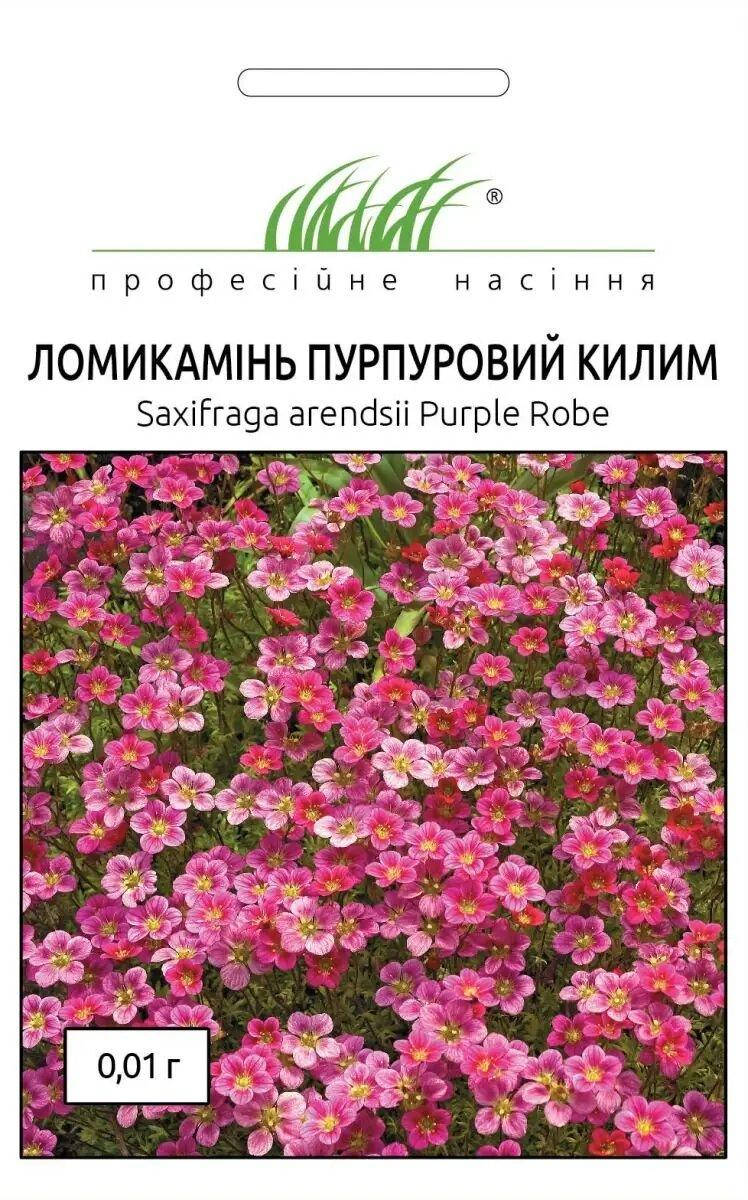 

Професiйне насiння. Ломикамiнь Пурпуровий килим, 0.01г., Пурпурный