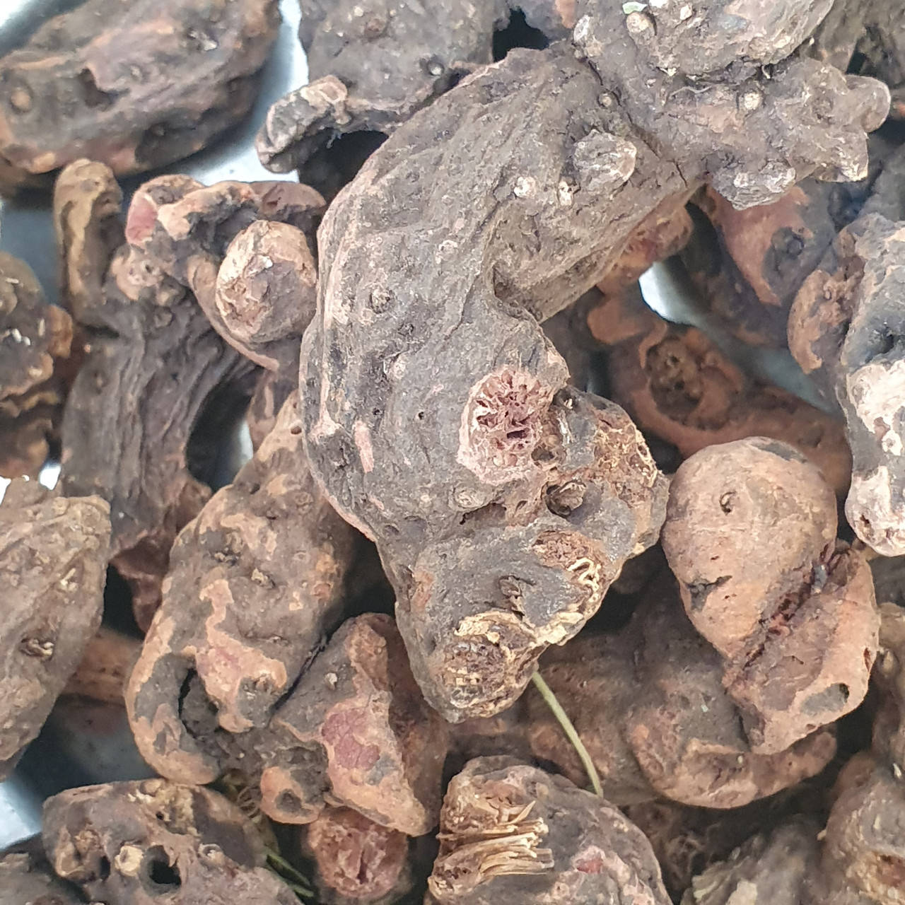 

Перстач прямостоячий (калган) (корневища) 50 гр (Свежий урожай)