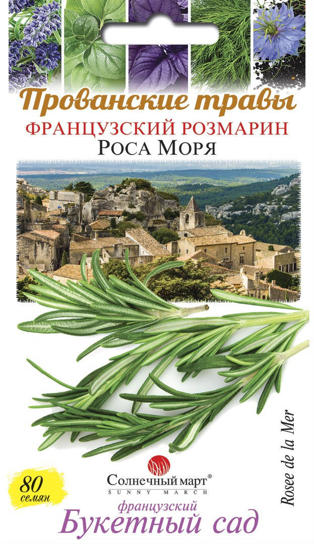 

Розмарин Роса Моря, 80шт