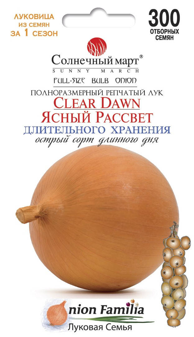 

Лук Ясный рассвет, 300шт