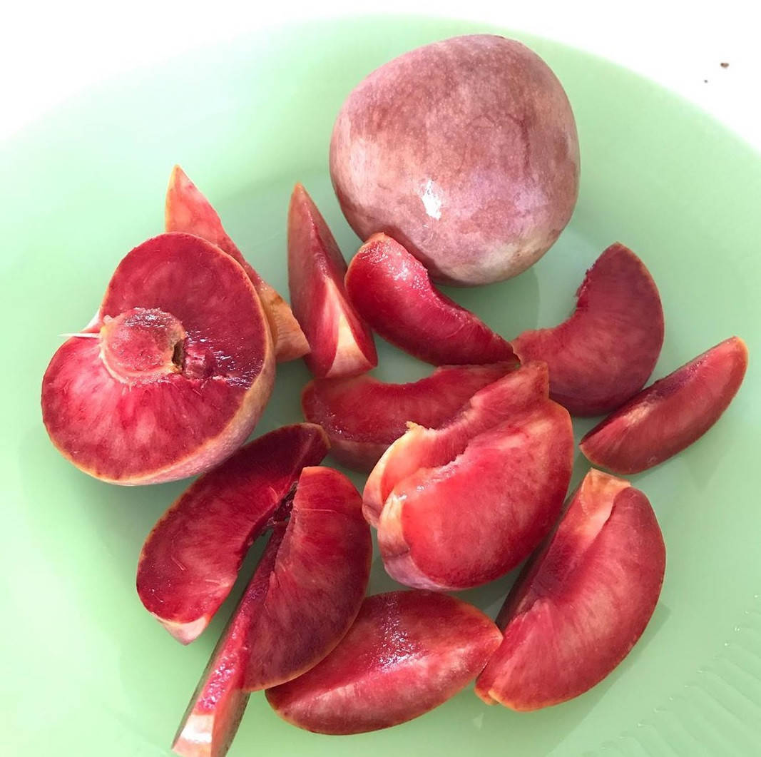 

Слива Дапл Данди (Dapple Dandy). (вс). Подвой алыча