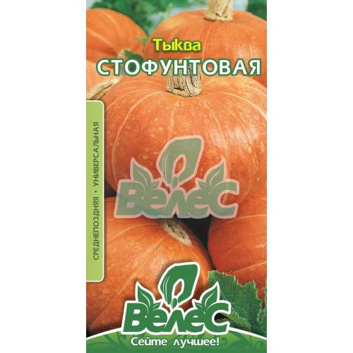 

Семена тыквы Стофунтовий 4г ТМ ВЕЛЕС