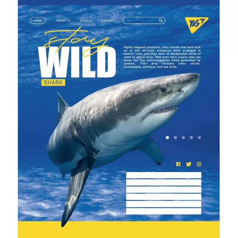

Тетрадь школьная в линию YES 24 листа, Stay Wild
