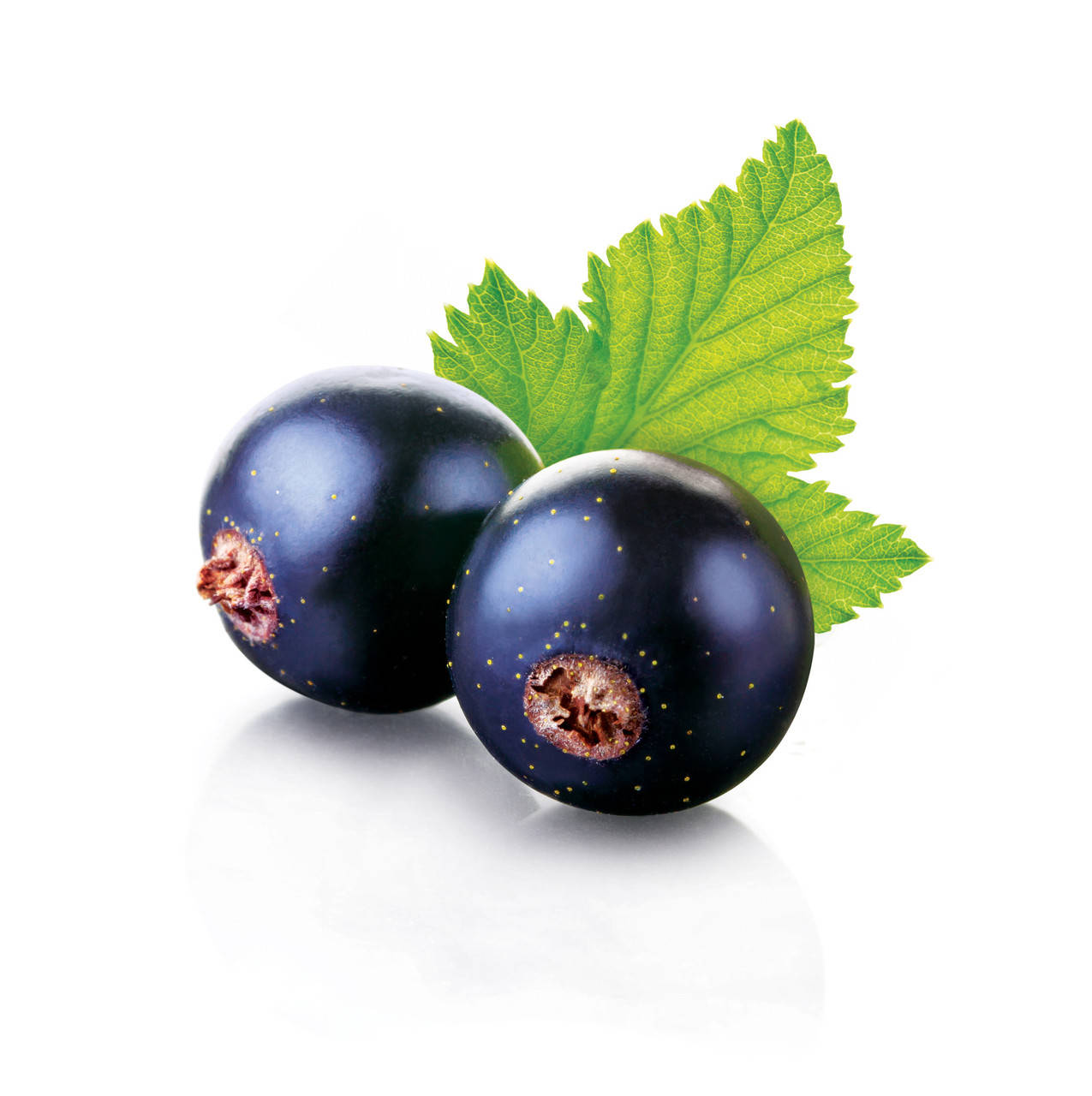 

Ароматизатор TPA Black Currant (Черная смородина) 5мл.