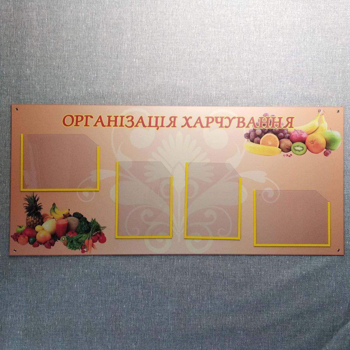 

Уголок питания. Организация питания