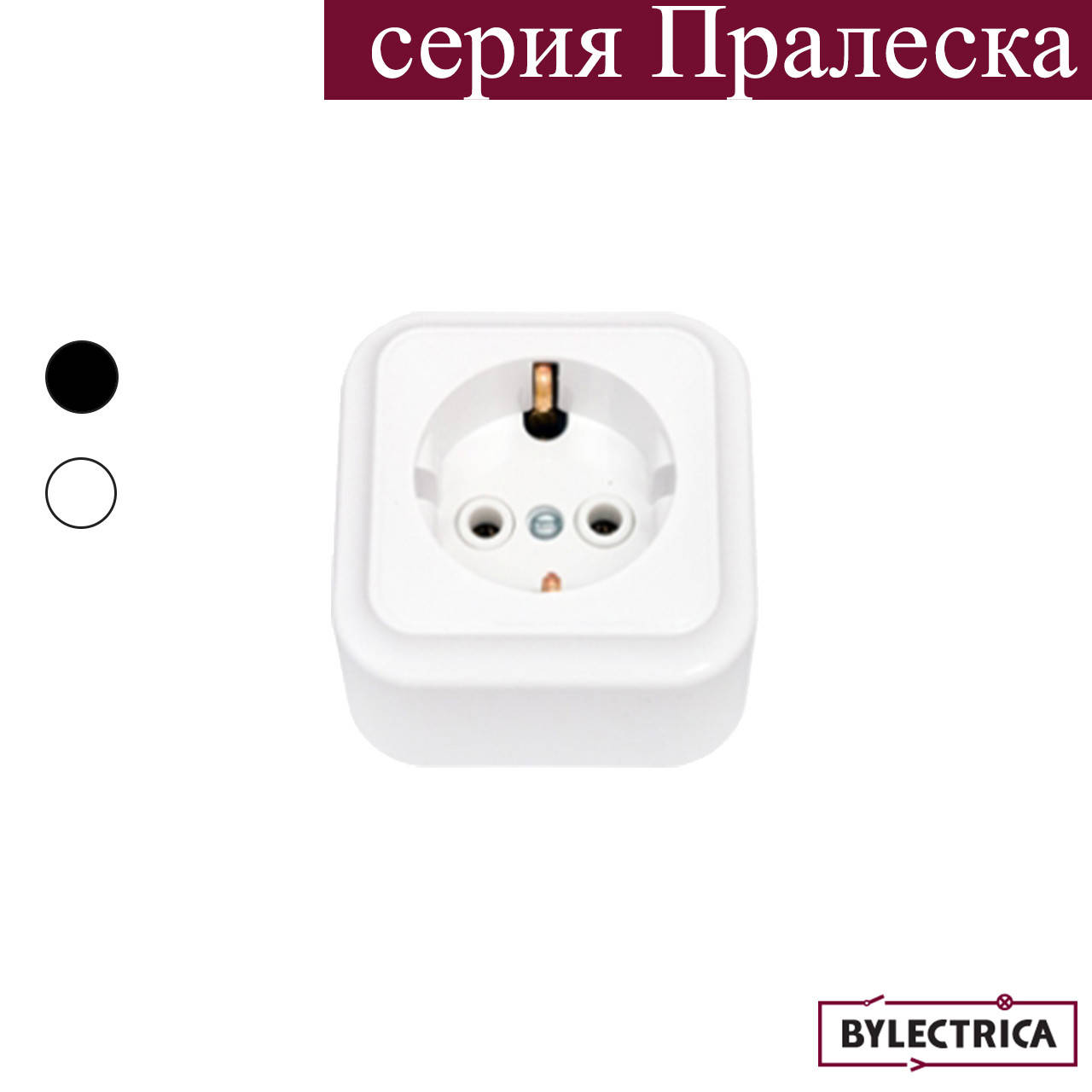 

Розетка накладная с землянным контактом BYLECTRICA (РА 16-254)