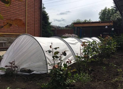 

Парник Подснежник, 8 м