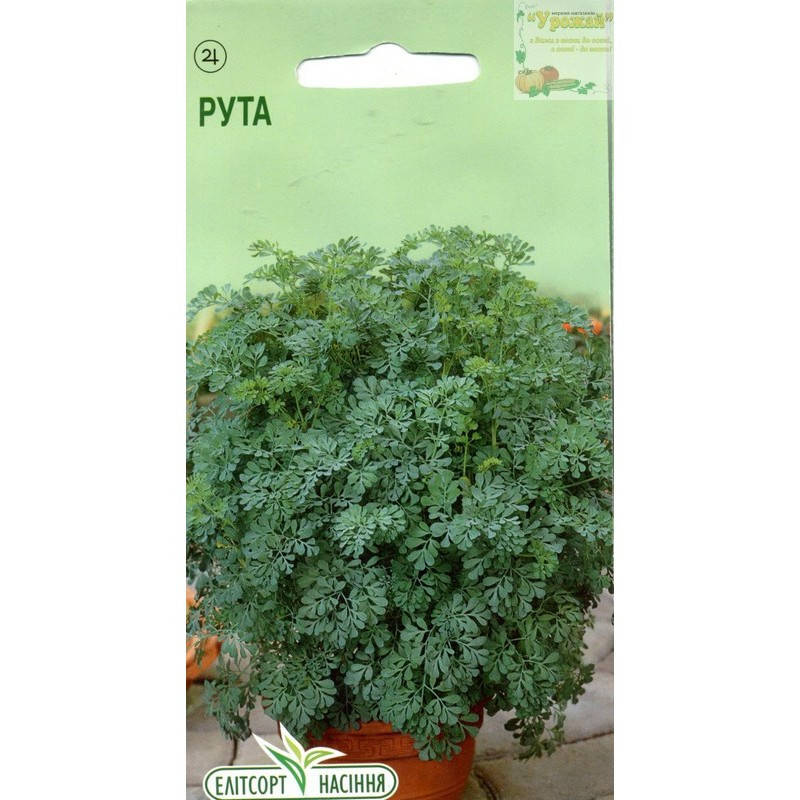 

Семена пряные Рута, 0,1 г