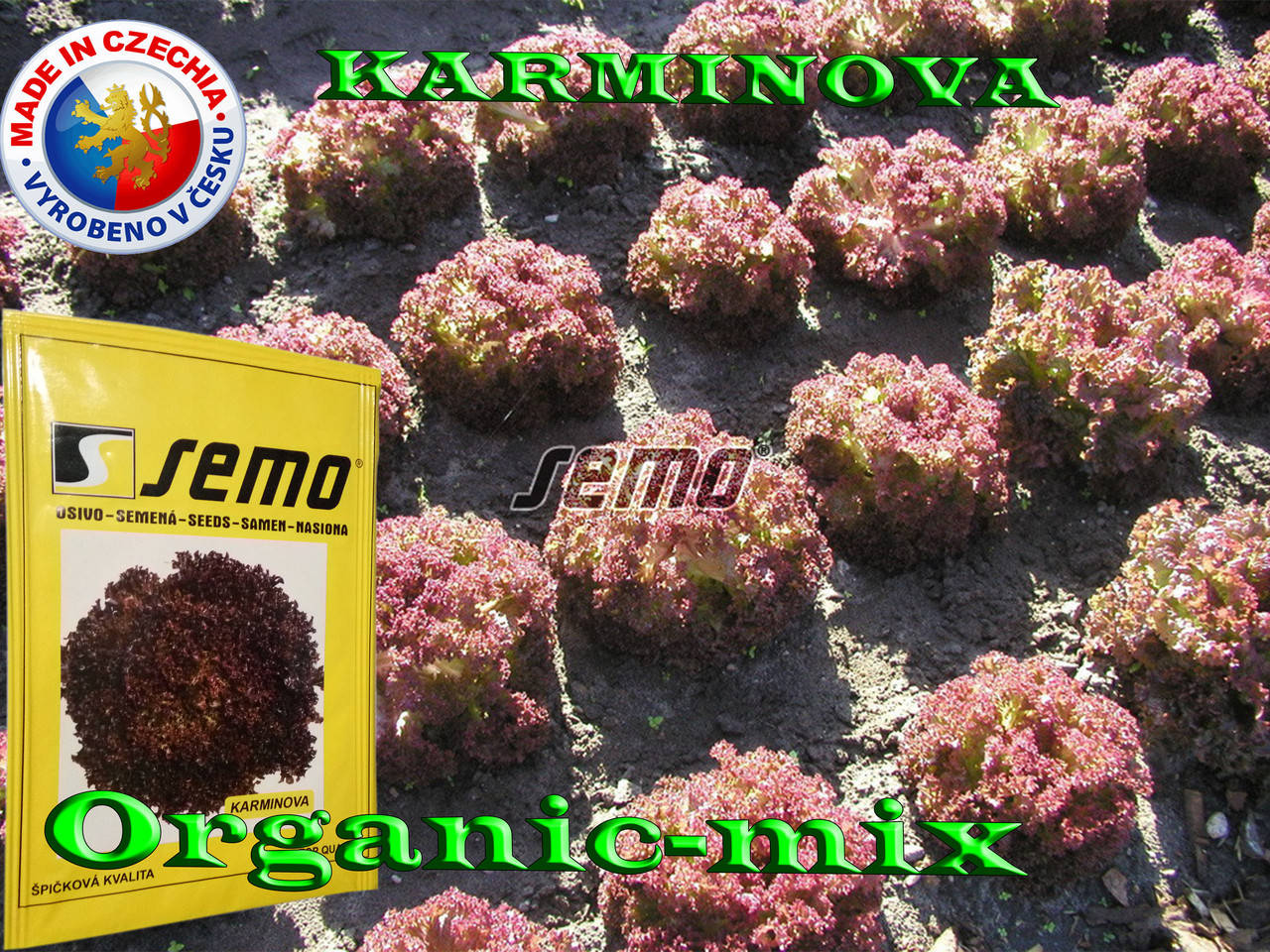 

Салат КАРМИНОВА / KARMINOVA, ТМ SEMO (Чехия) проф. пакет 1000 семян