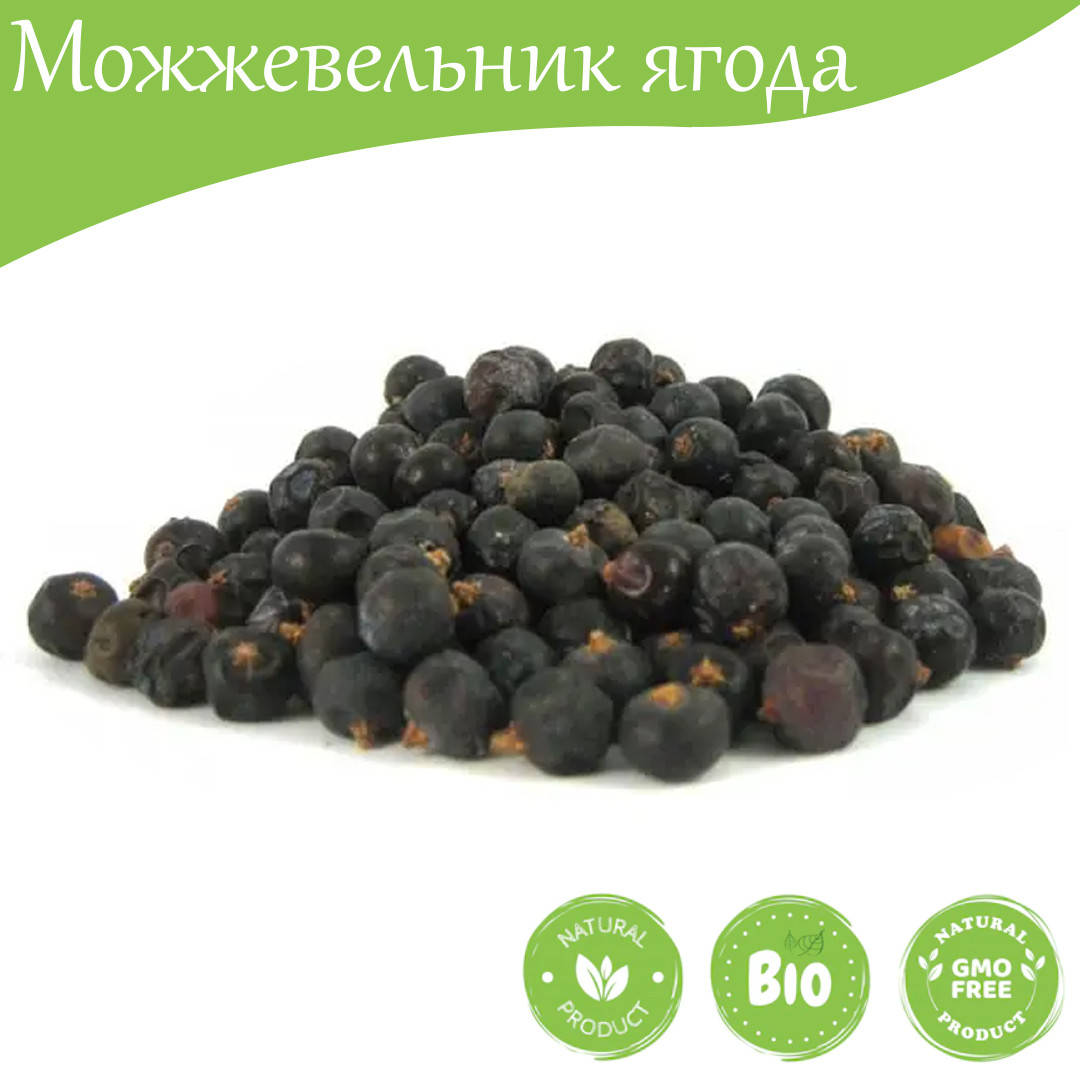 

Можжевельник ягода