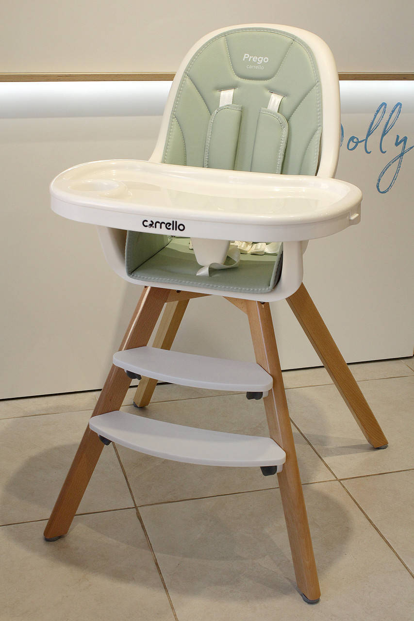 

Стульчик для кормления CARRELLO Prego CRL-9504 Ash Green
