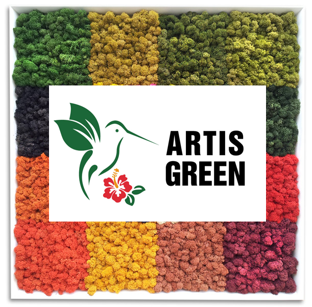 

СТАБИЛИЗИРОВАННЫЙ МОХ (ЯГЕЛЬ) от Artis Green