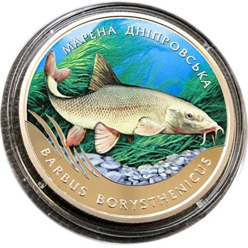 

Монета "Марена днепровская" 2 гривны. 2018 год.