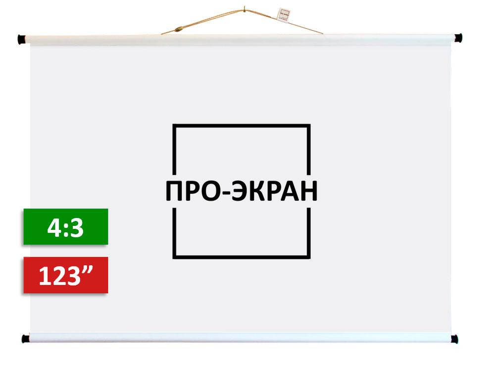 

Экран для проектора ПРО-ЭКРАН 250 на 188 см (4:3), 123 дюймов, Белый