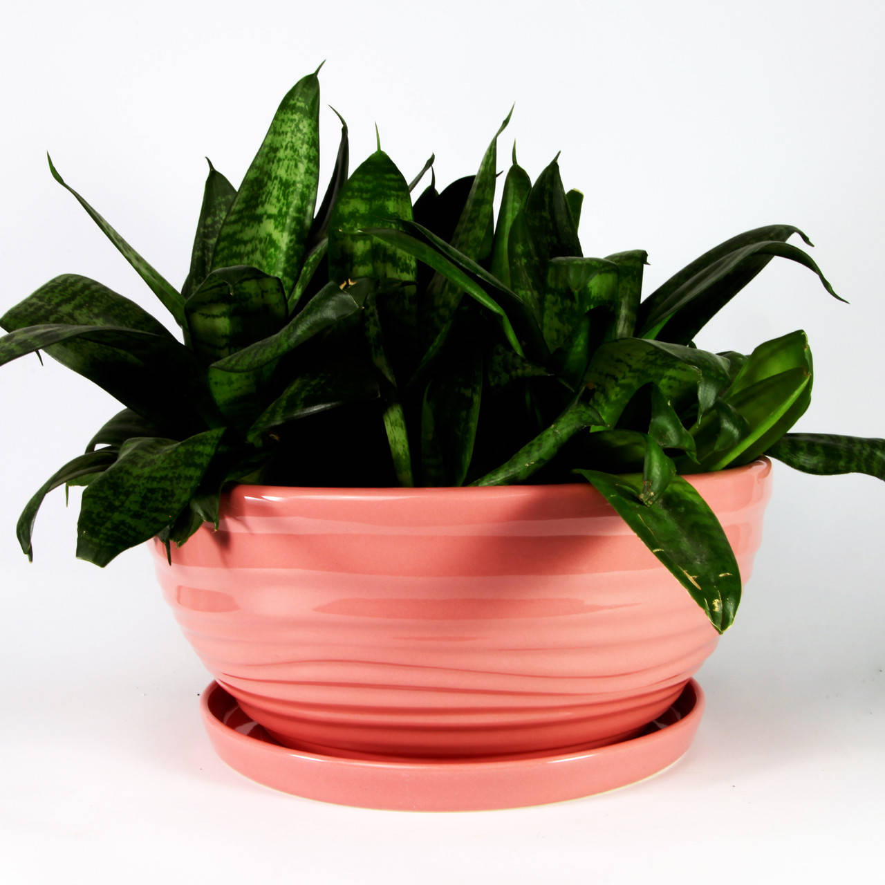 

Горшок керамический декоративный "Бонсайка" 5,5л Розовый Rezon P267