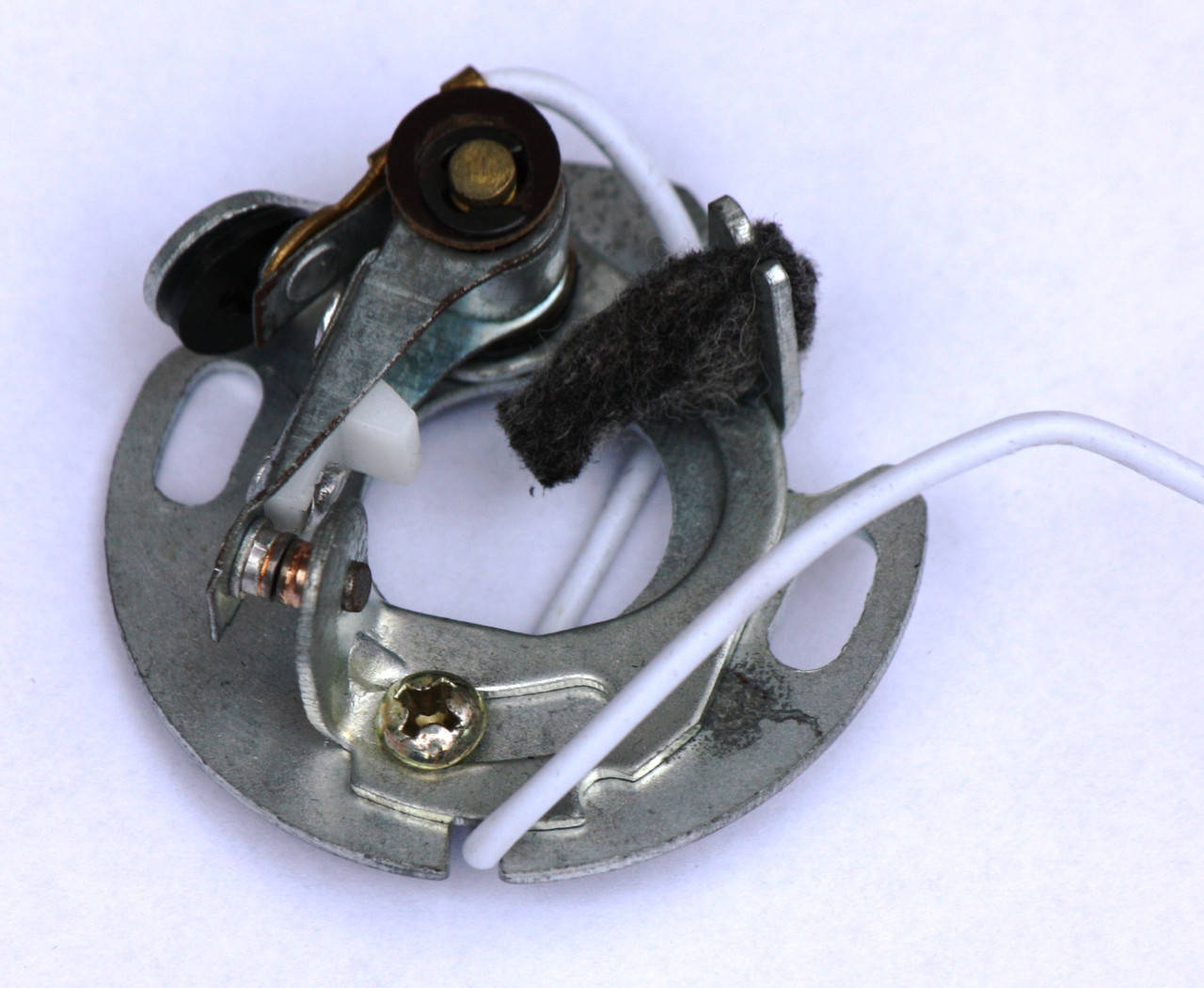 

Контакты Муравей