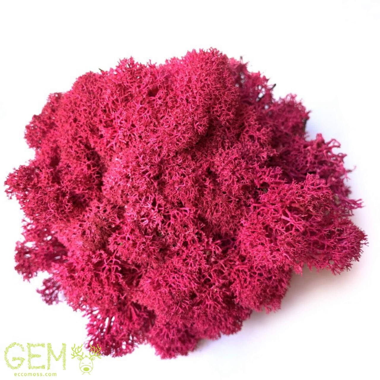 

Очищений стабилизированный мох Green Ecco Moss скандинавский ягель Fuchsia 0.5 кг