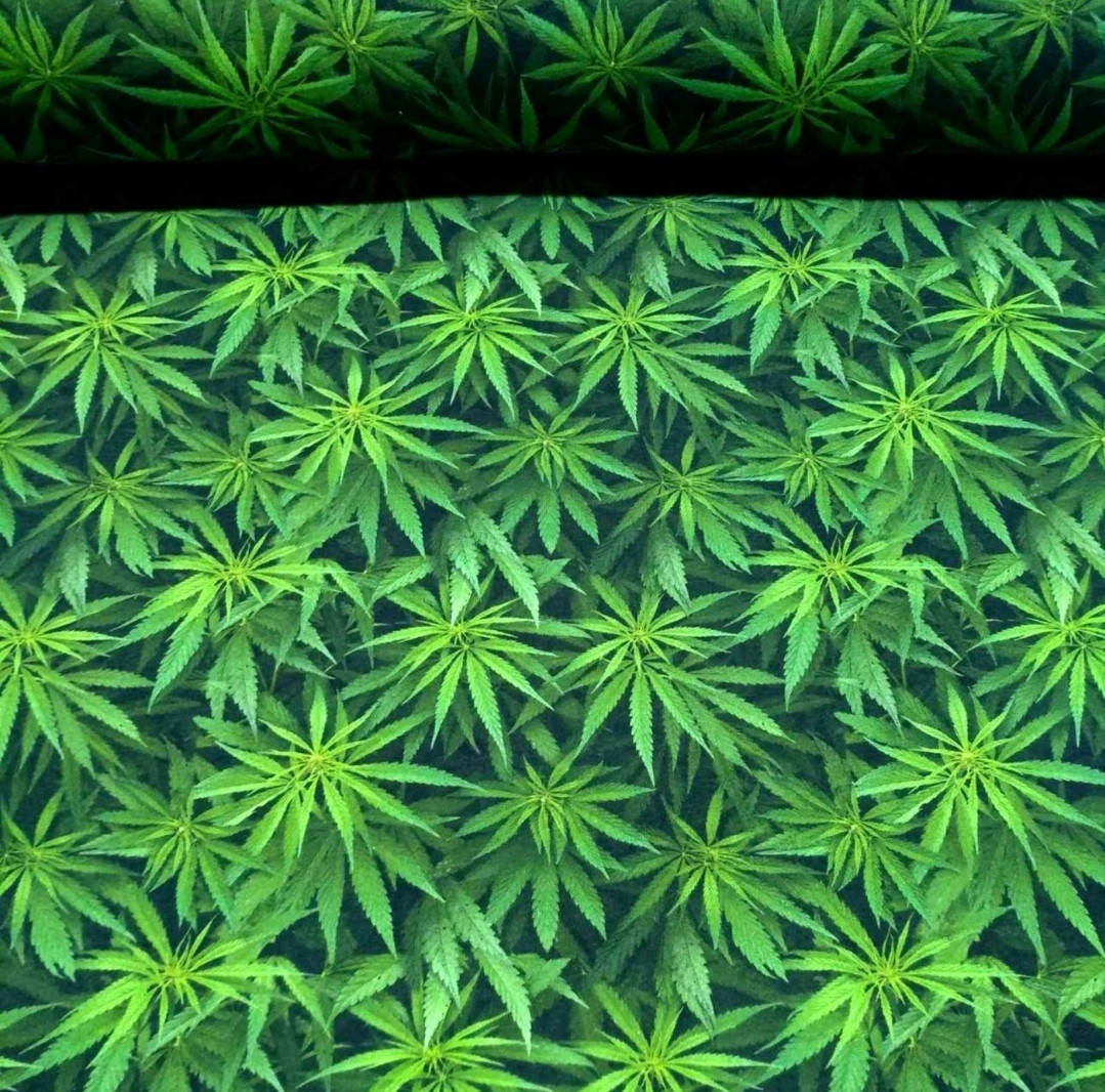 

Футер двунитка "Канабисс", диджитал,