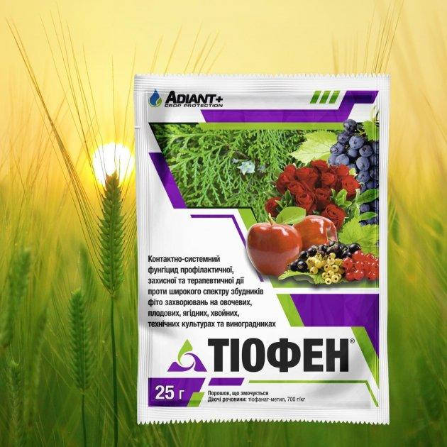 

Фунгицид Тиофен 25 г