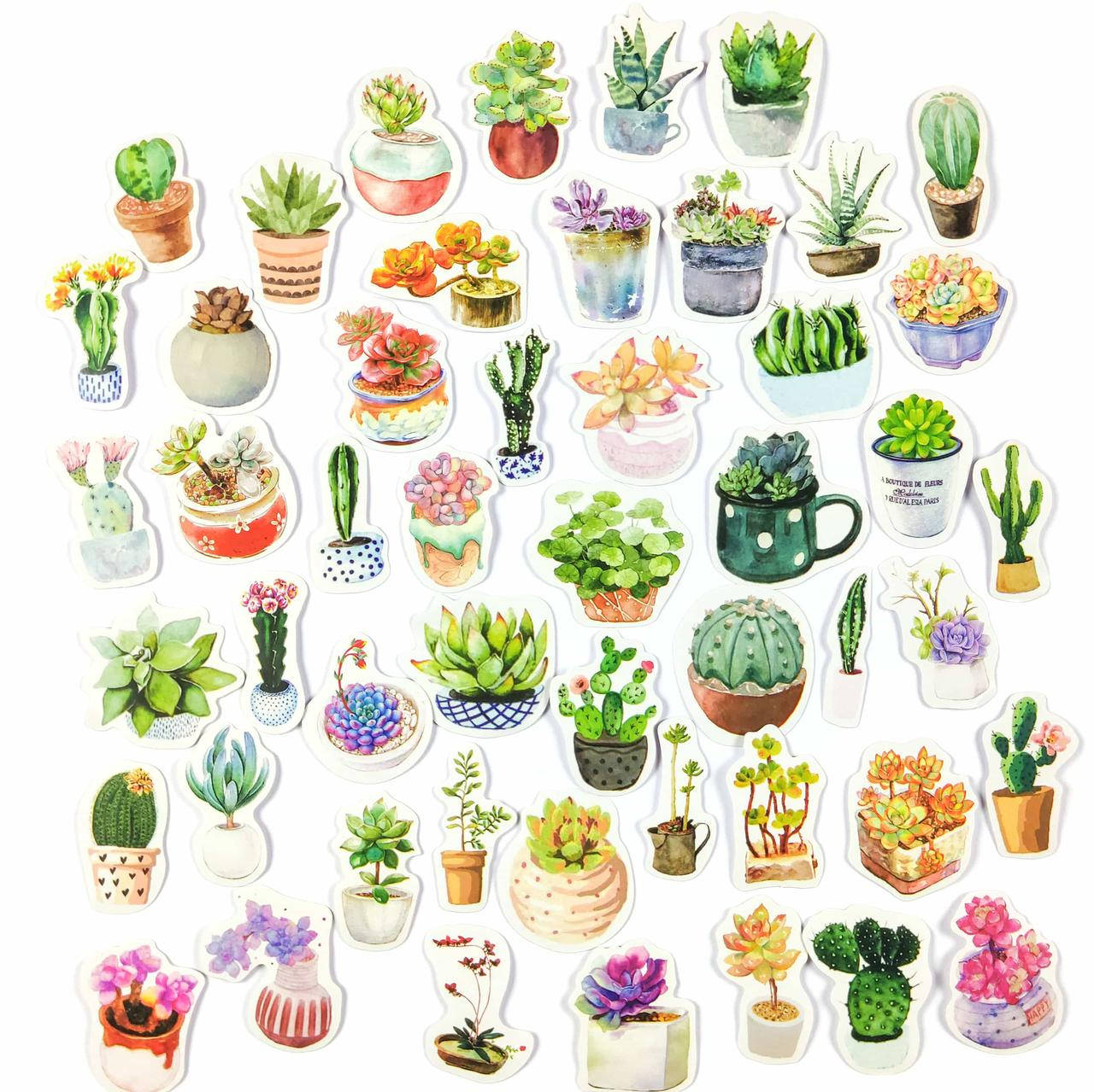

Набор стикеров Кактусы 50 шт (YXTZ0003)