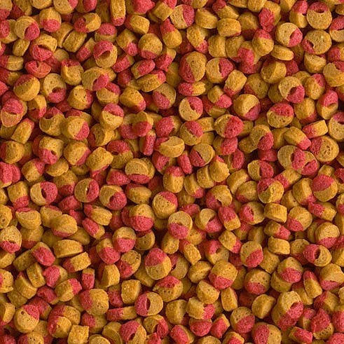 

Корм фасованный Tetra Cichlid Colour для цихлид 180 г