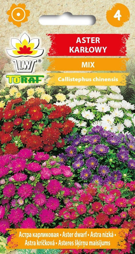 

Семена Астра карликовая mix 1г