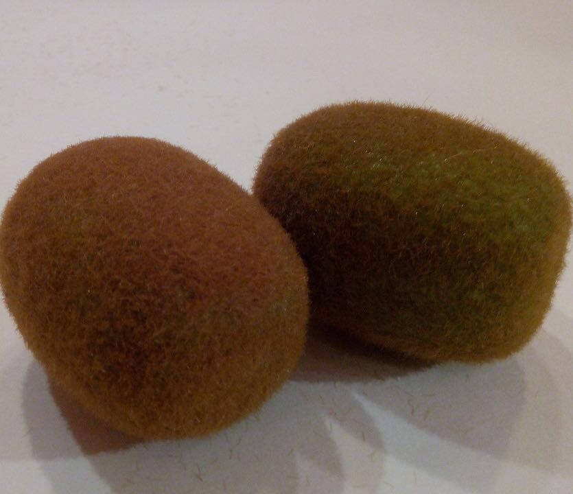 

Муляж киви