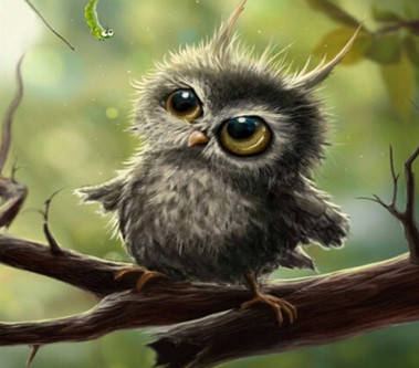 

Алмазная мозаика Совёнок 30*40см без рамки 40*8*5см (H8127)