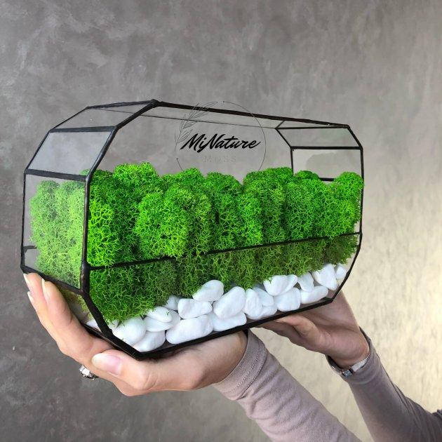 

Моссариум MiNature Moss со стабилизированным мхом ягель норвежский