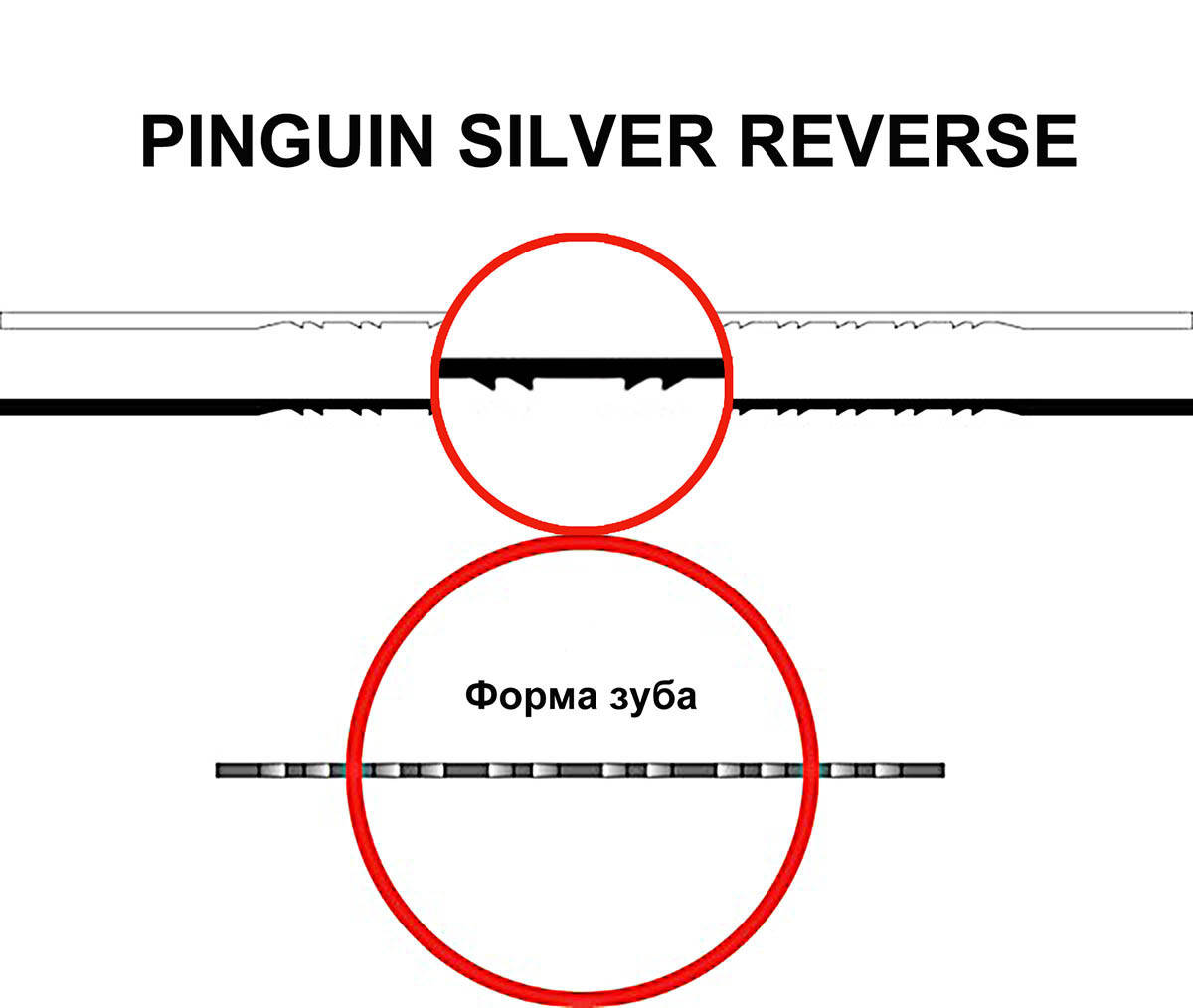 

Пилка для лобзиковых станков PINGUIN SILBER REVERSE №7, комплект 6 шт